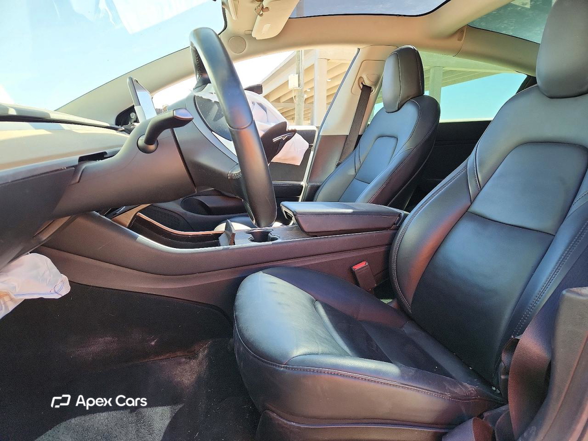 Tesla Model 3 2019