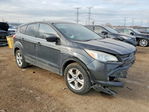 Ford Escape 2013
