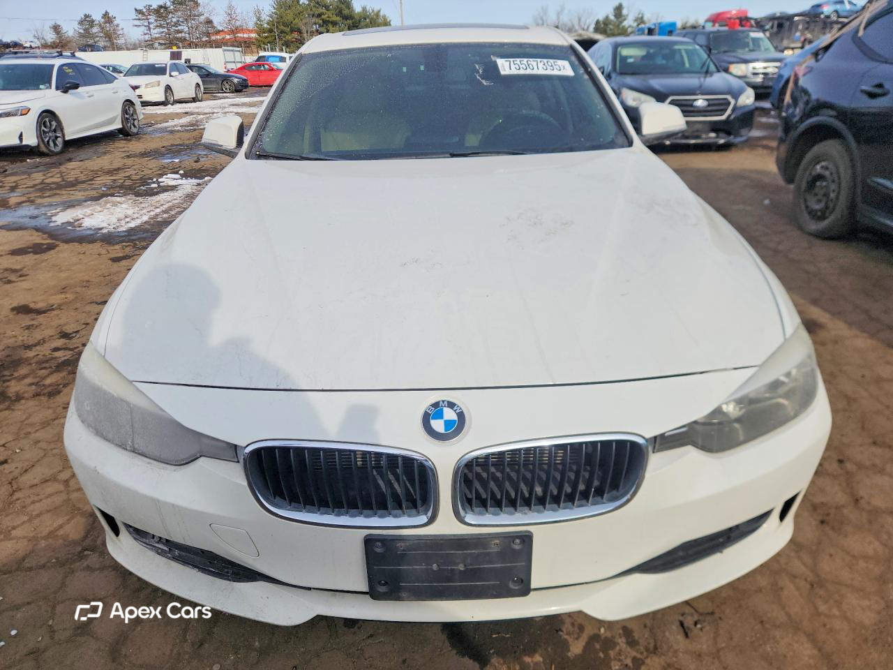 BMW Series 3 2014