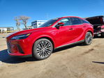 Lexus RX 2025