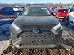 Toyota RAV 4 2024