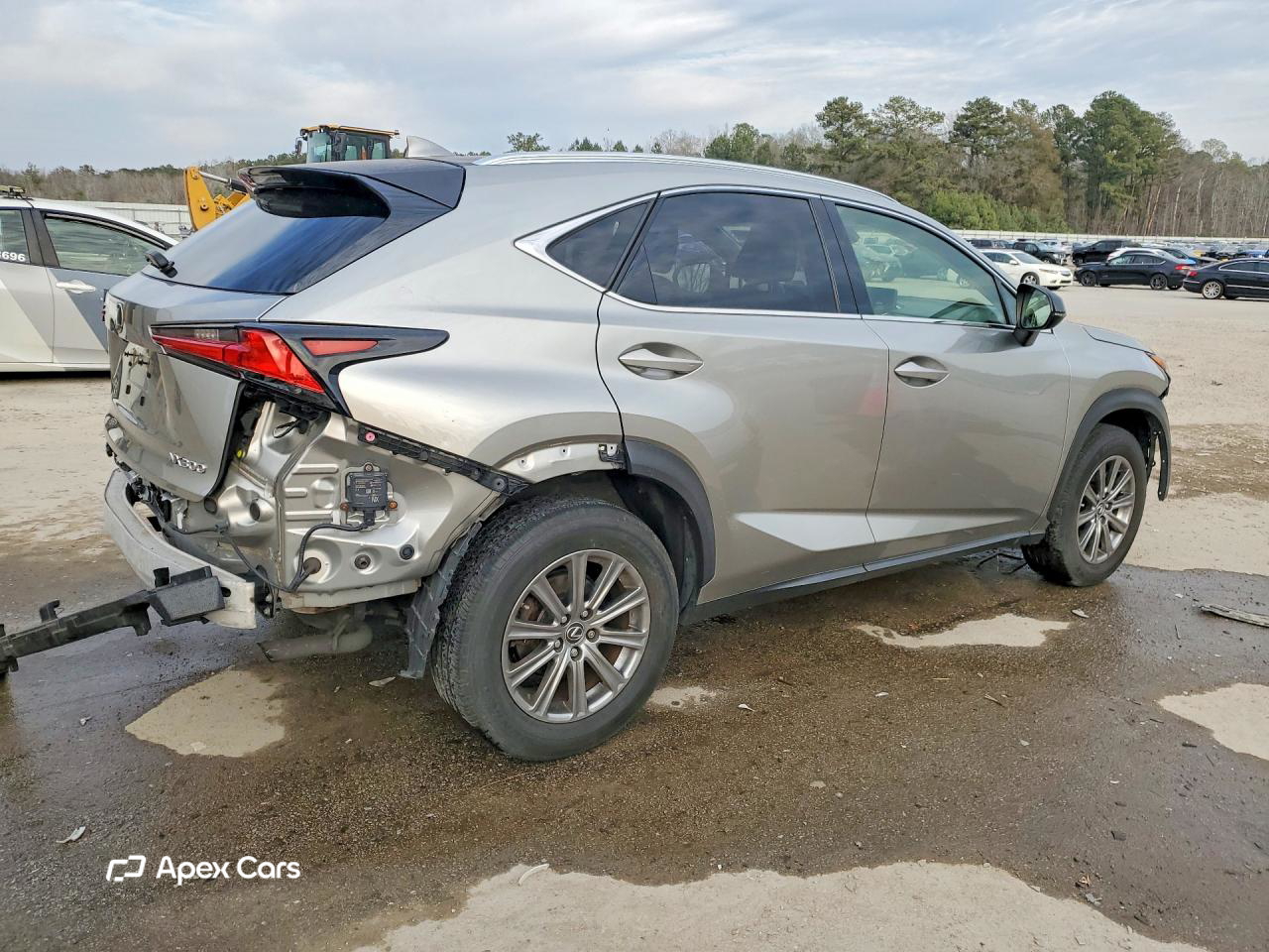 Lexus NX 2019