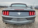 Ford Mustang 2016