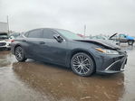 Lexus ES 2022