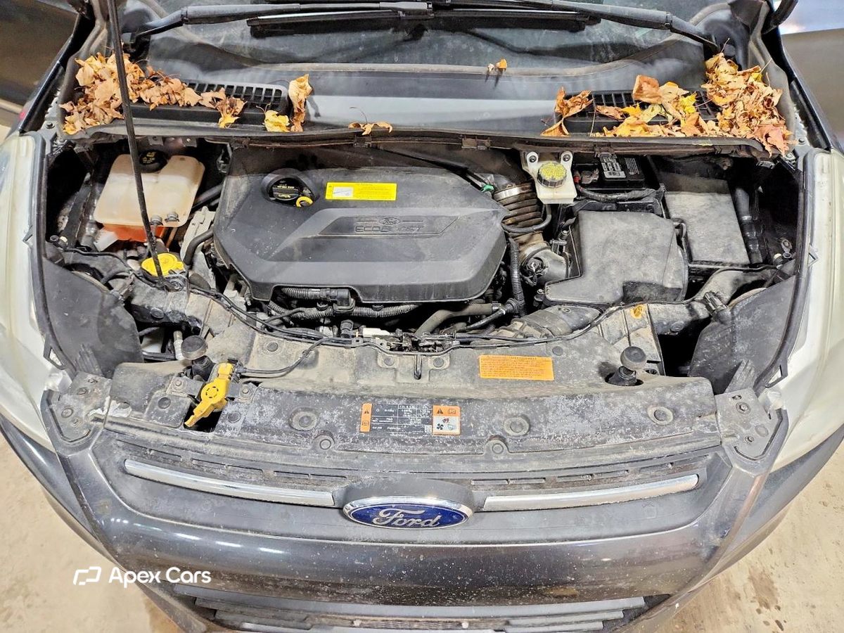 Ford Escape 2015