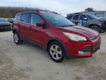 Ford Escape 2014