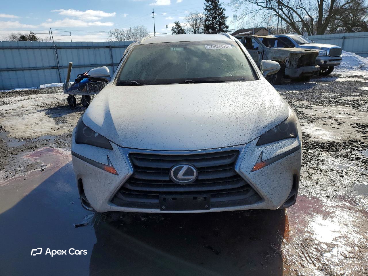 Lexus NX 2015