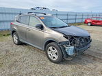 Toyota RAV 4 2013