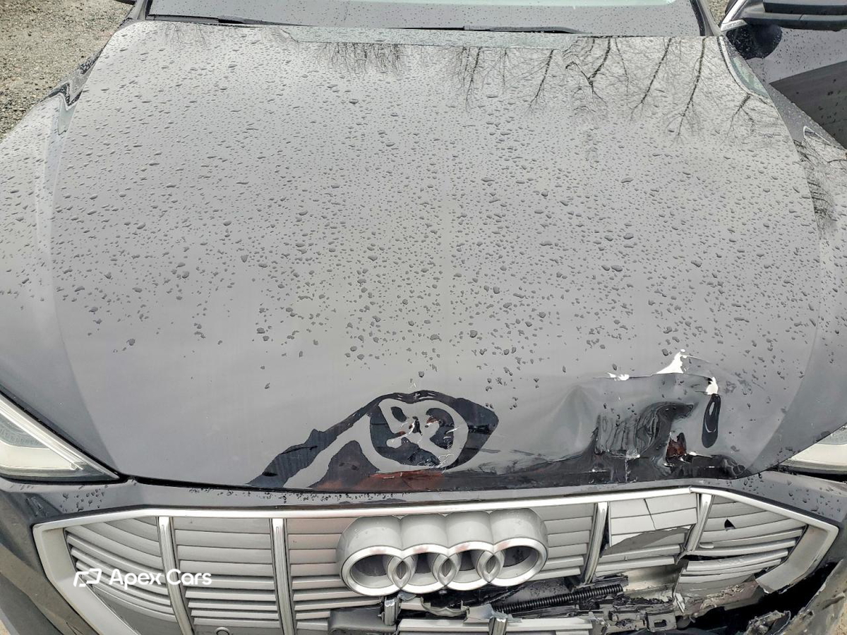 Audi e-tron 2019