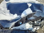 BMW X4 2022