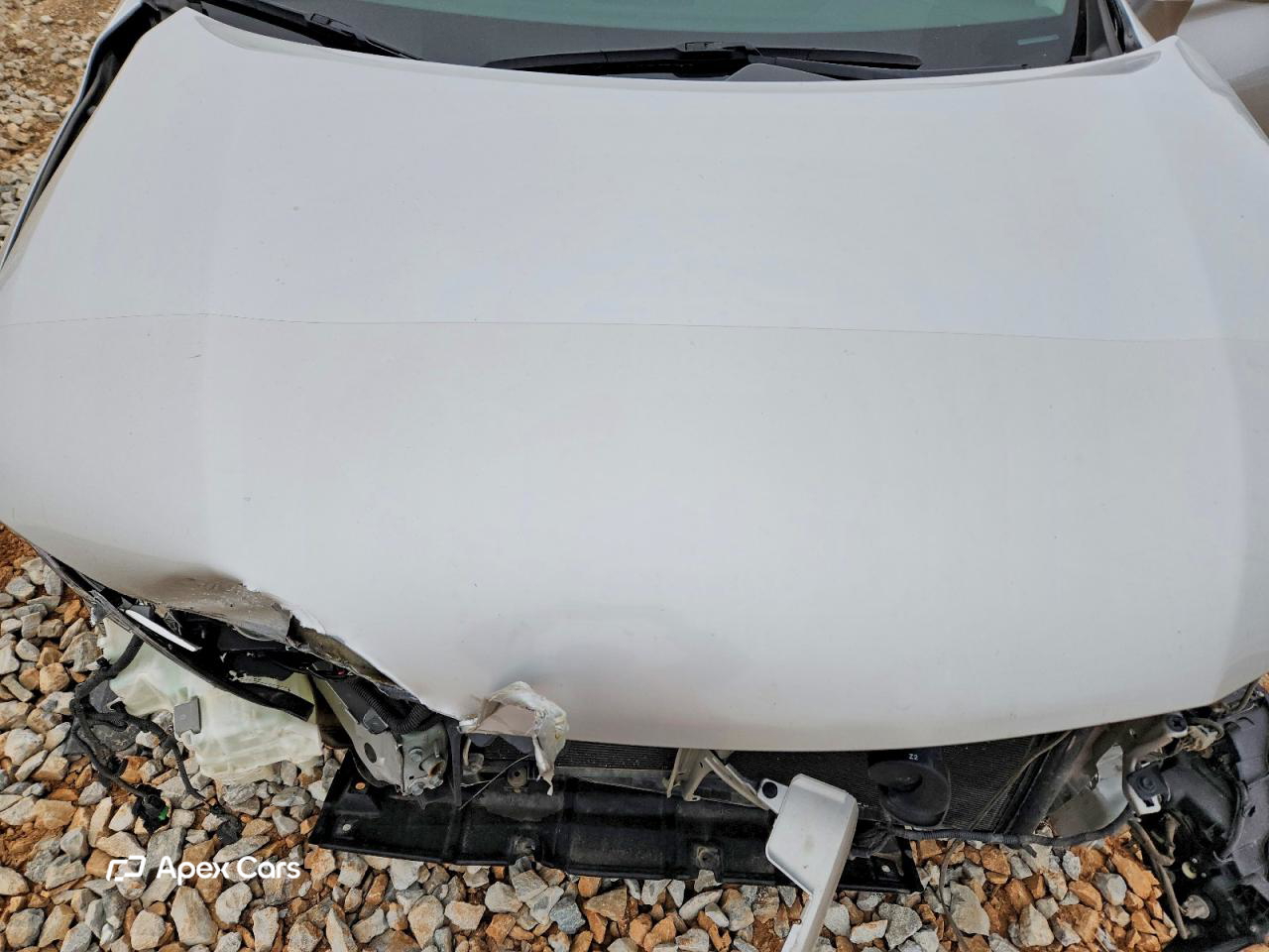 Lexus RX 2010