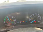 Ford Maverick 2024