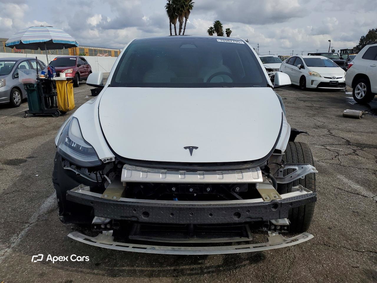 Tesla Model Y 2022