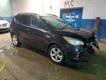 Ford Escape 2014