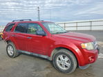 Ford Escape 2012