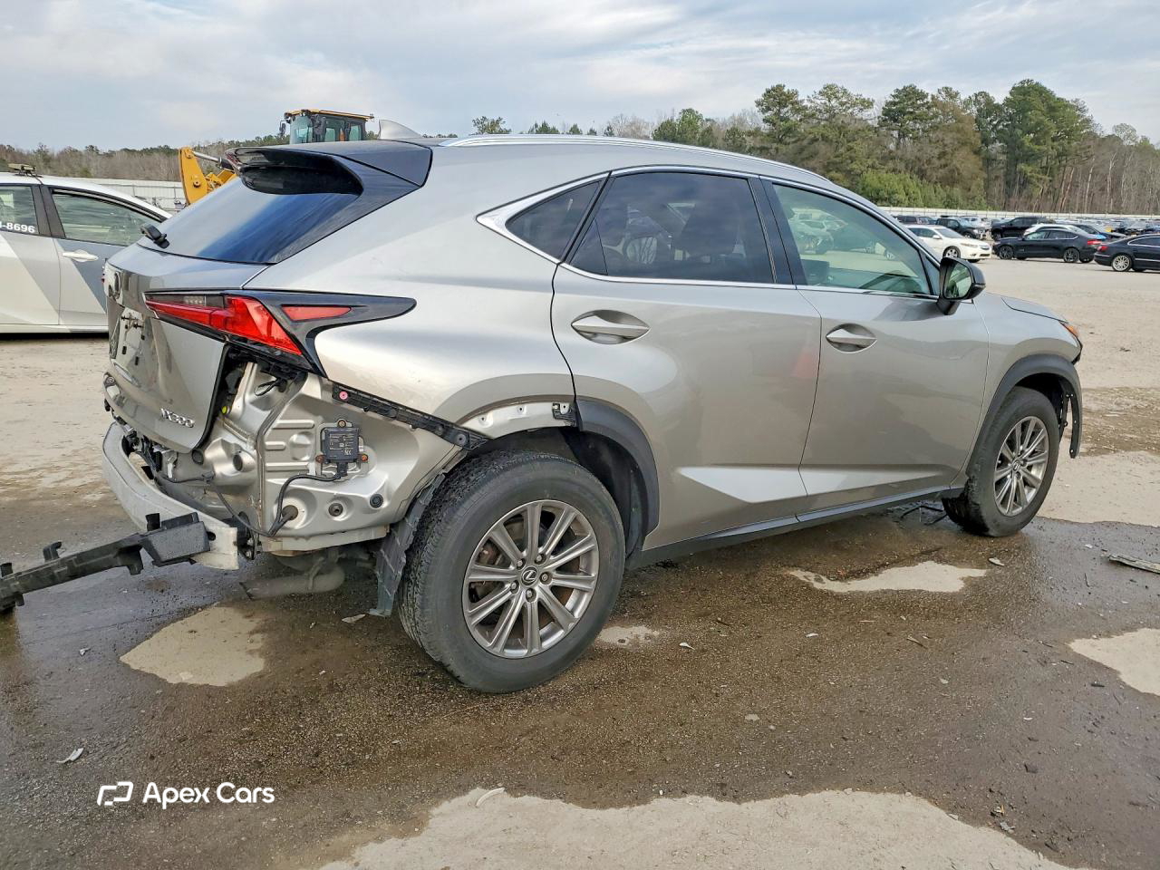 Lexus NX 2019