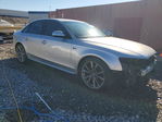 Audi RS4 2016