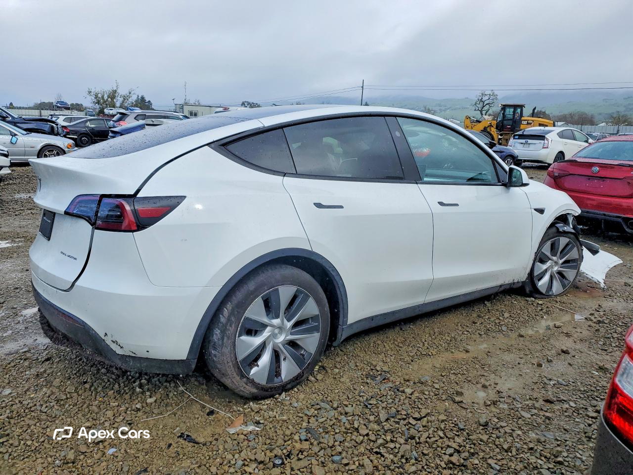Tesla Model Y 2024
