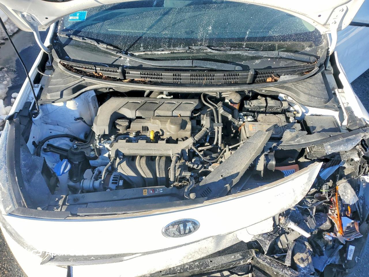 Kia Rio 2021