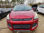 Ford Escape 2014