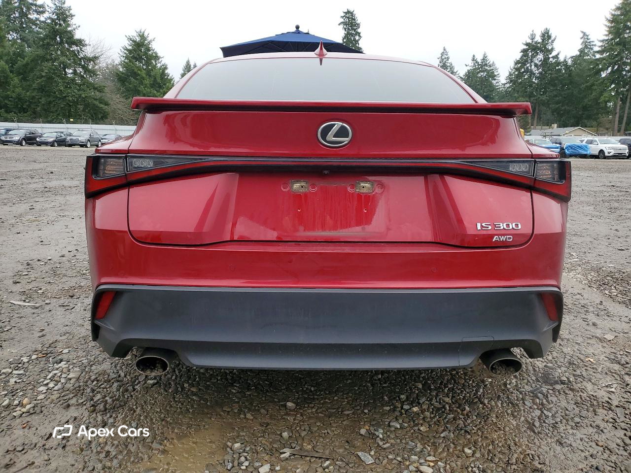Lexus IS 2021