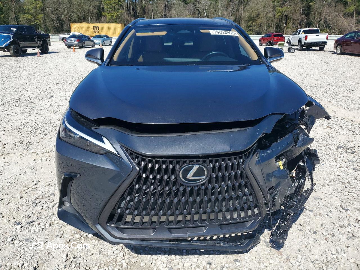 Lexus NX 2022