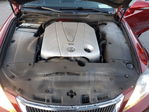 Lexus IS 2011