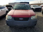Ford Escape 2006