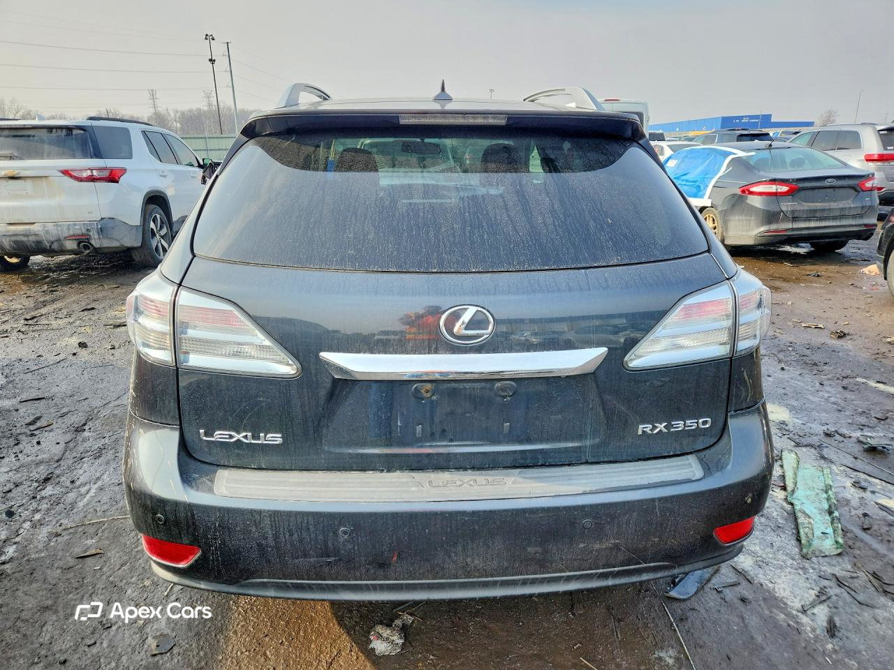 Lexus RX 2010