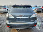 Lexus RX 2010