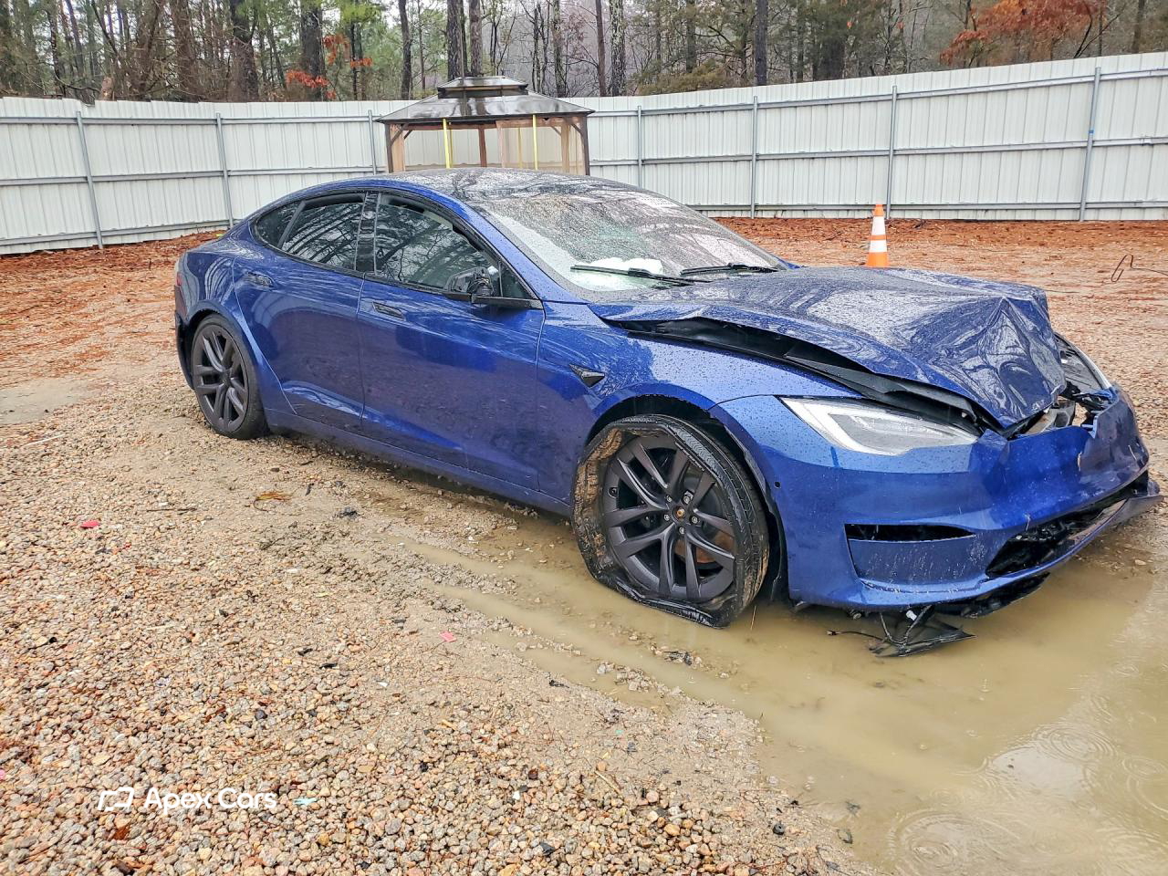 Tesla Model S 2021