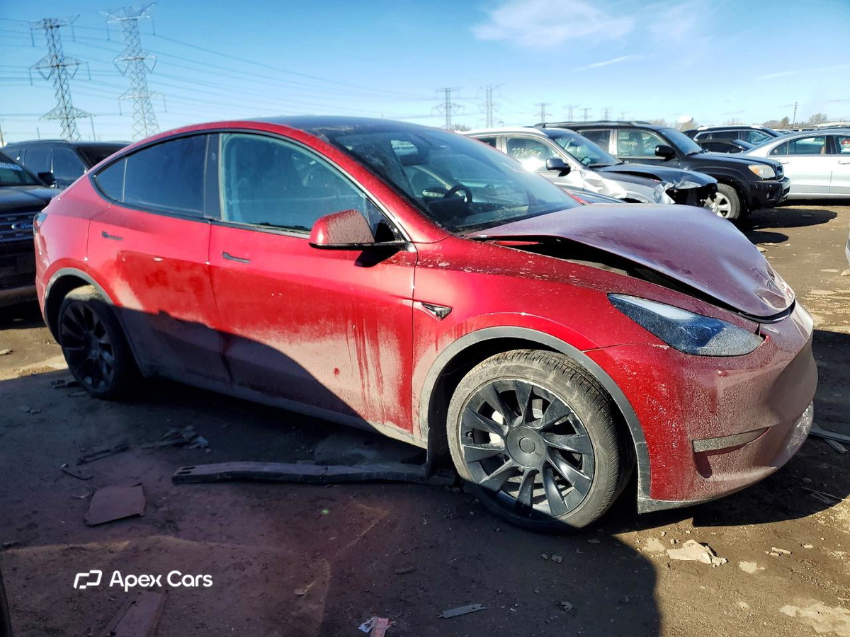 Tesla Model Y 2024