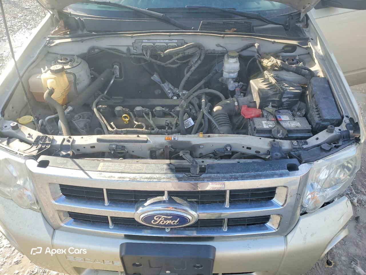 Ford Escape 2010