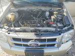 Ford Escape 2010