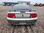 Ford Mustang 2008