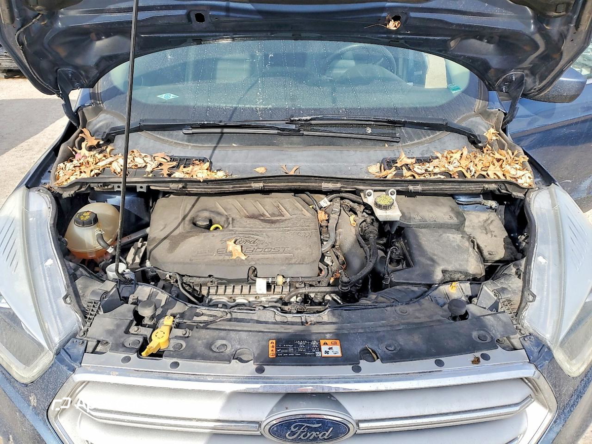 Ford Escape 2018