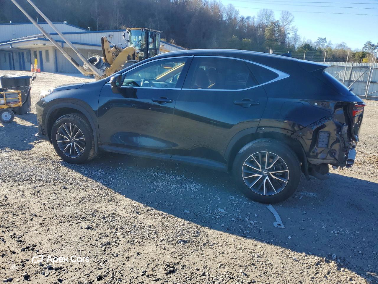 Lexus NX 2024
