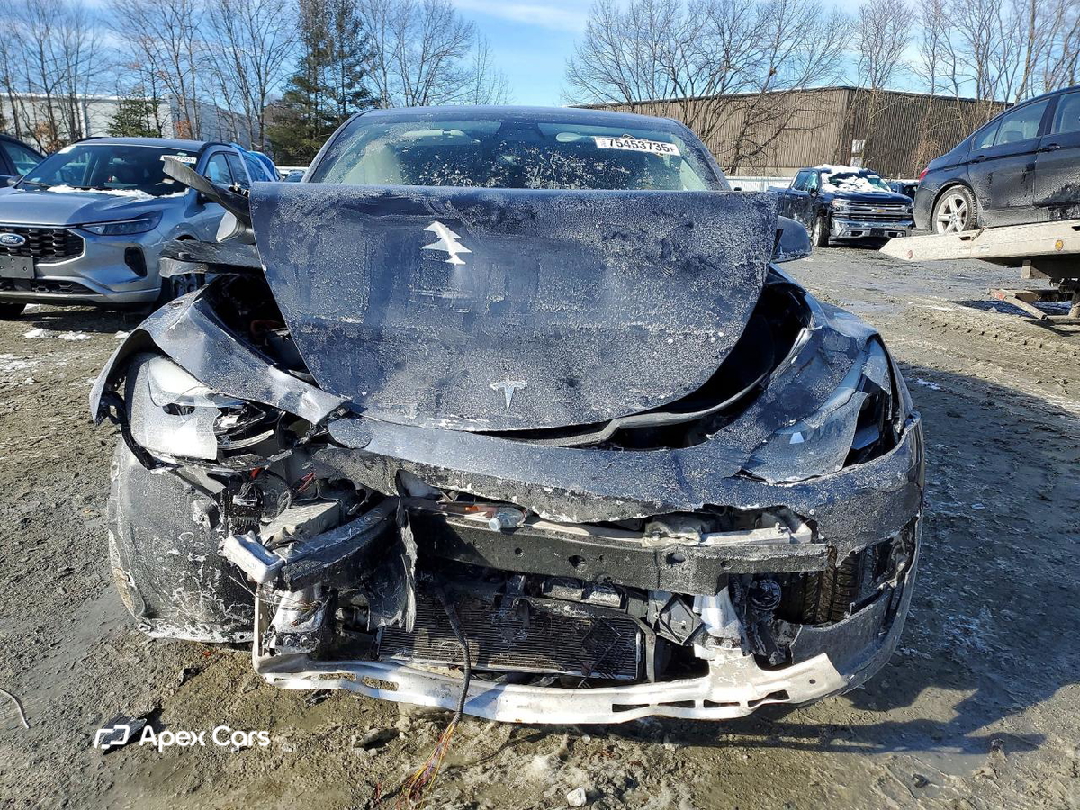 Tesla Model Y 2021