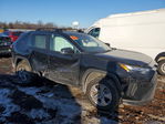 Toyota RAV 4 2024