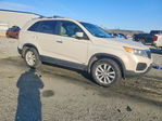 Kia Sorento 2011
