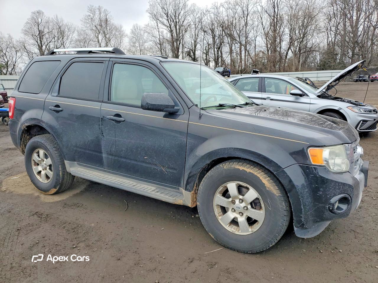 Ford Escape 2011
