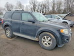 Ford Escape 2011
