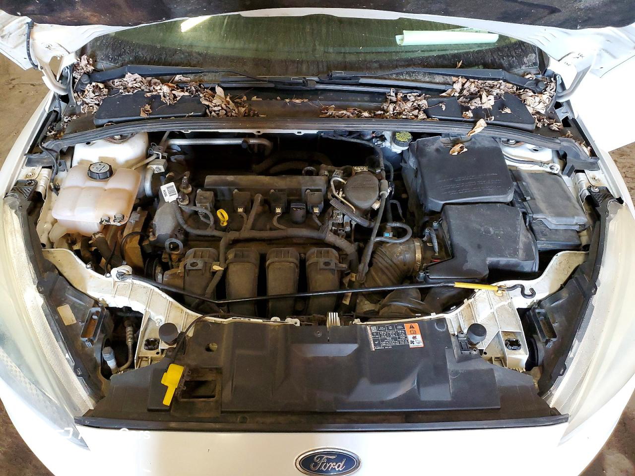 Ford Focus 2015