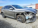 Lexus RX 2021