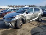 Lexus NX 2020