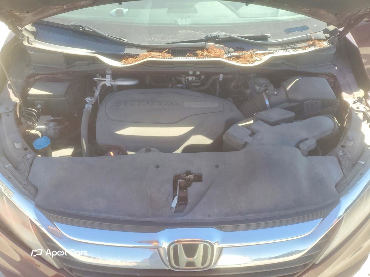 Honda Odyssey 2019