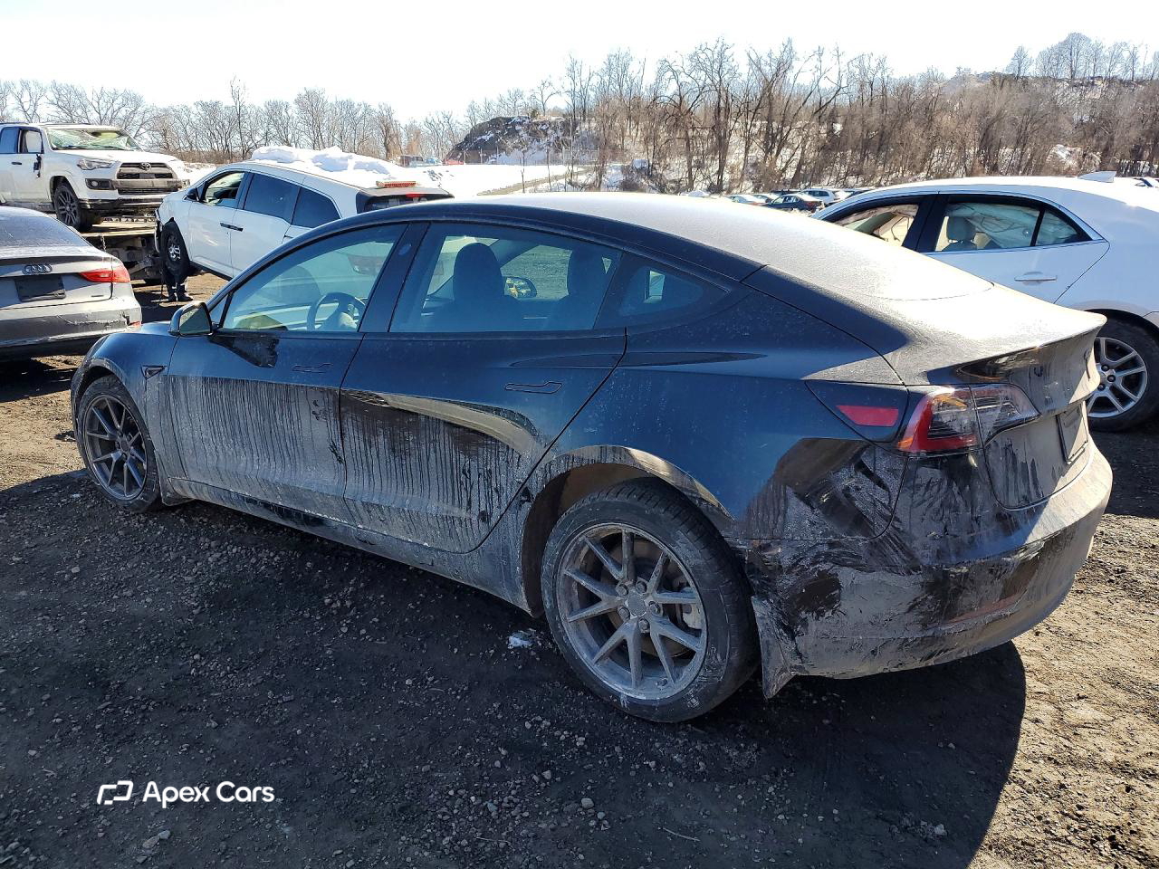 Tesla Model 3 2023