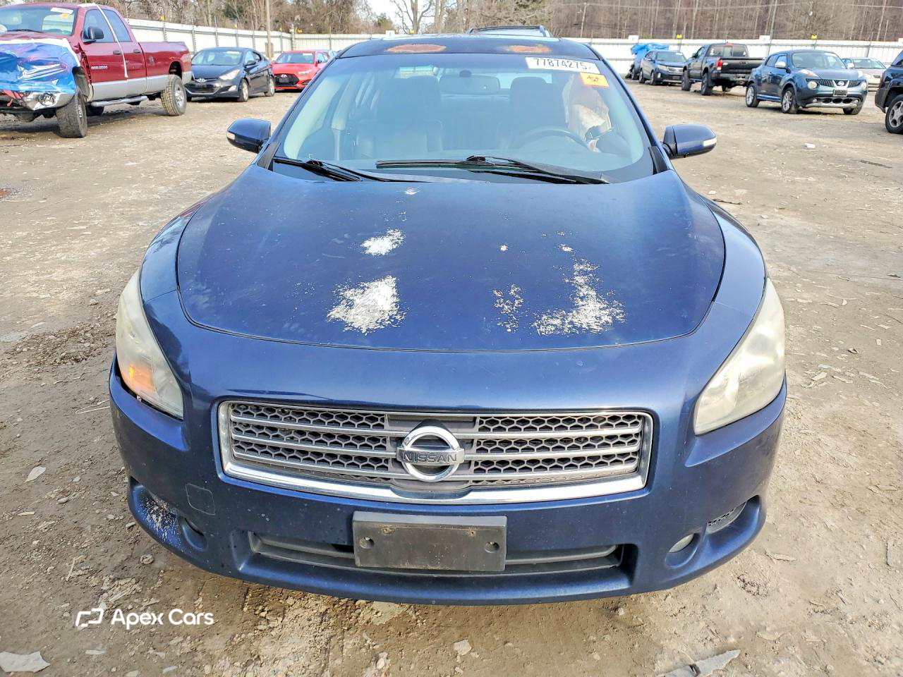 Nissan Maxima 2010