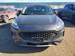 Ford Escape 2020