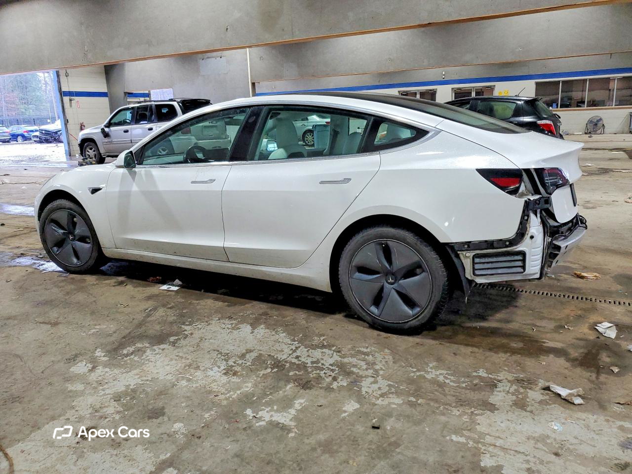 Tesla Model 3 2019